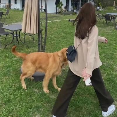 竞选风云